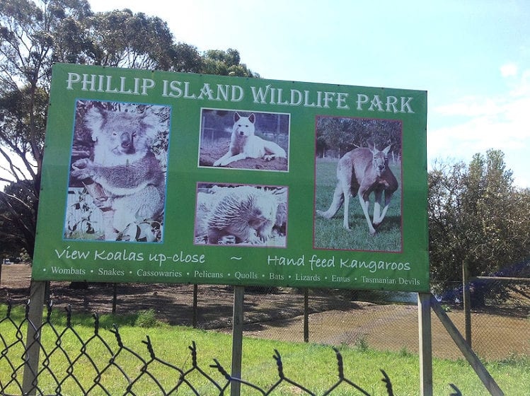 Phillip Island Wildlife Park | Phillip Island Holidays